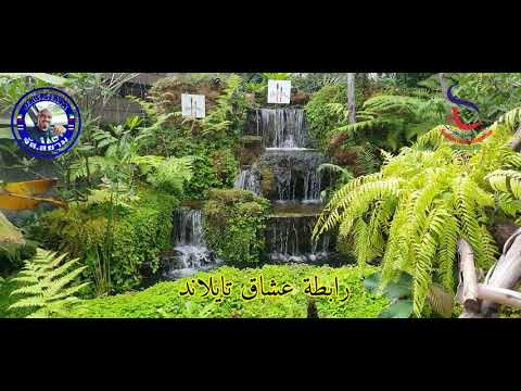 The Chocolate Factory Pattaya Branch Sukhumvit