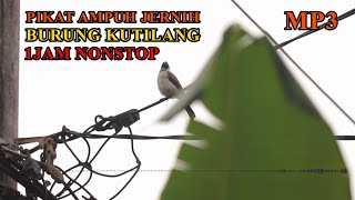 Download lagu SUARA PIKAT BURUNG KUTILANG JERNIH AMPUH FULL MP3 SATU JAM NONSTOP mp3