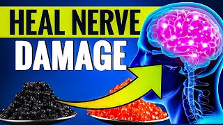 7 Foods that Can Heal Nerve Damage - Vitality Beyond 50