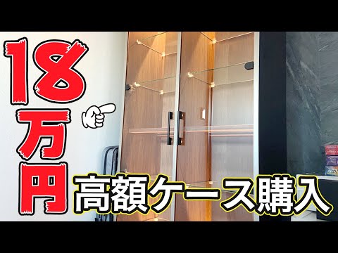 ※超高額なコレクションケースが届いたおかげでついにお気に入りの遊戯王とポケカを飾ることができました。【コレクションケース トレカ飾り方】