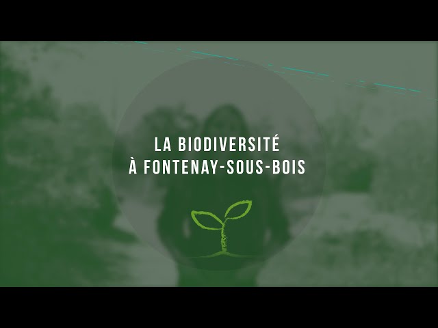 La biodiversité à Fontenay