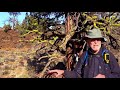 The Oldest Tree In C Oregon