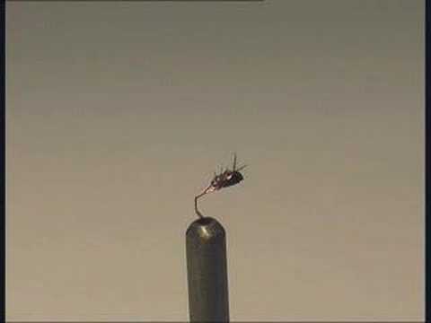 Tragedie la circ: Dresorul de purici a ramas fara cei  300 de "subalterni". Au murit de frig!