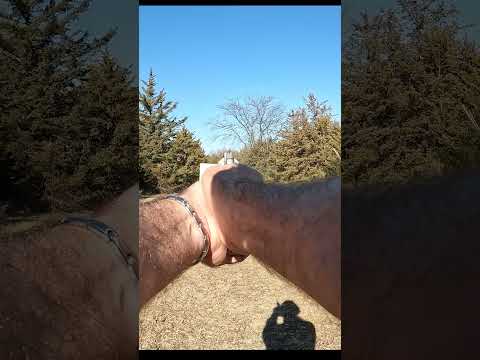 Charter Arms Pitbull 9mm