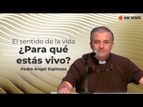 ¿Cuál es el verdadero sentido de la vida?, Padre Ángel Espinosa | Tele VID Clips
