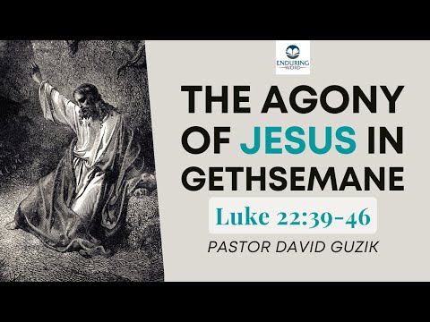 The Agony of Jesus in Gethsemane - Luke 22:39-46