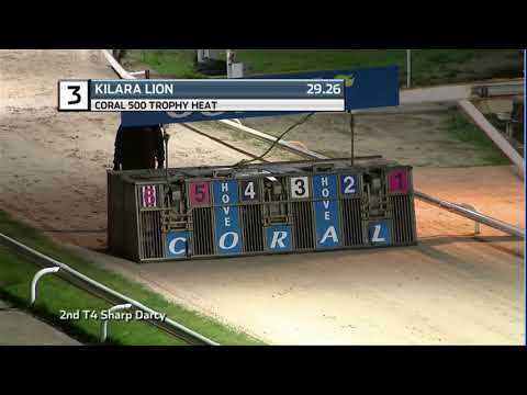 2020 CORAL 500 - HEAT 1 - T3 KILARA LION