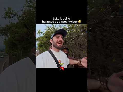 David is an absolute menace 😭