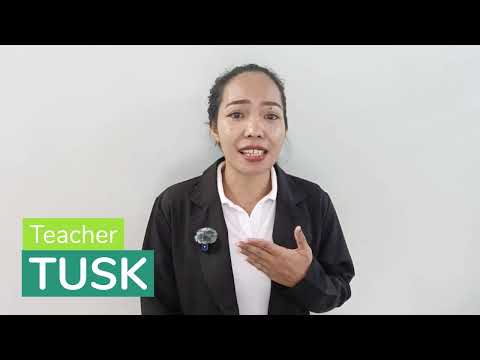 Tuskのプロフィール動画