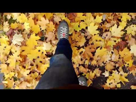 halamof - "I tělo jsem já" videoklip