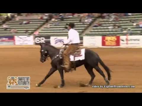 Hesa Royalena ridden by Clay Volmer  - 2016 NRCHA Snaffle Bit Futurity (Rein - IO, LO FINALS)