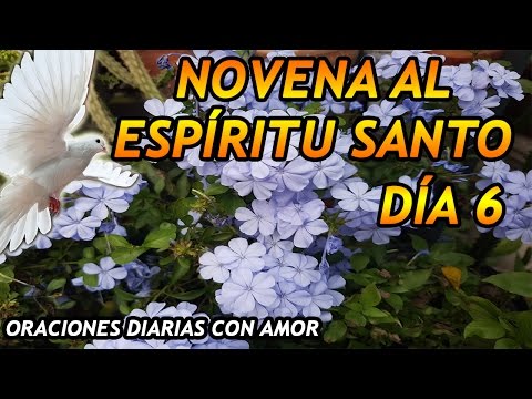 download lagu mp3 mp4 Sexto Dia De La Novena Al Espiritu Santo, download lagu Sexto Dia De La Novena Al Espiritu Santo gratis, unduh video klip Sexto Dia De La Novena Al Espiritu Santo