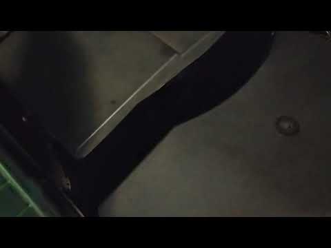 Opel Signum Rundgang + unruhiger Motorlauf 2