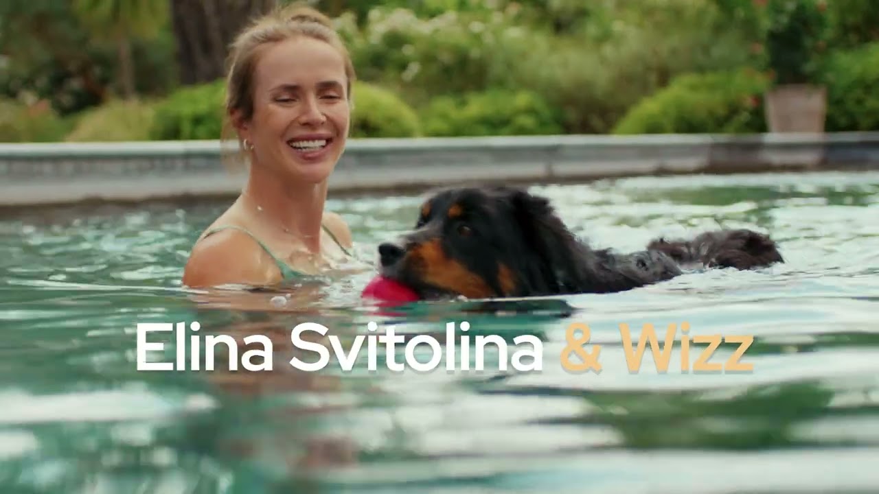 Pro Plan Renal Plus Tavuk Etli Yetişkin Kedi Maması 10kg tanıtım video görseli