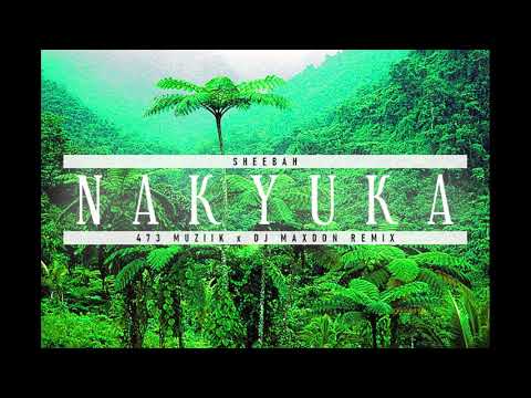 Nakyuka (473 Muziik x Dj Maxdon Remix)