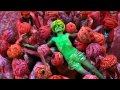 Language of Love - Craig Pruess - Longing