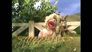 Sesame Street 14 Carrot Love song