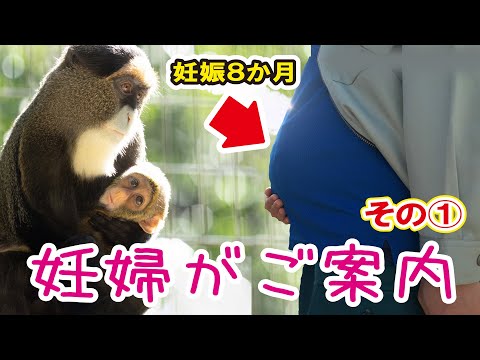 乳幼児連れ・プレママにやさしい動物園　その①　【千葉市動物公園公式】