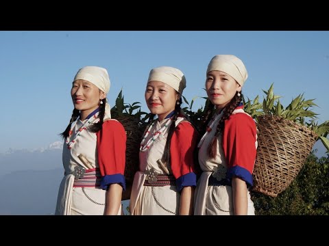 Official Dance of Lepcha Song with subtitles - 'Tuso Sa Tyangree naap ka’