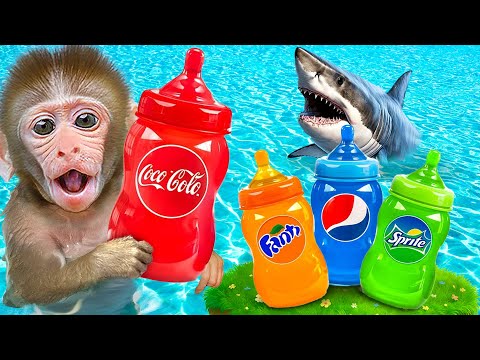 Macaco JOJI faz gelatina arco íris e vai nadar na piscina de doces de arco-íris | JOJI Em Português