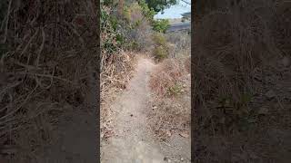 Hiking West on the Trail!!! #strait, #straits, #hikingadventures