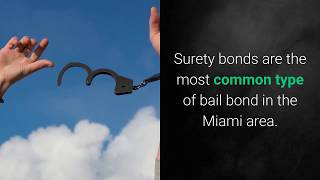 Top Rated Miami Bail Bondsman