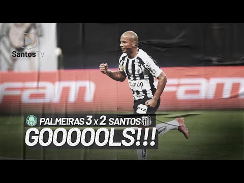 PALMEIRAS 3 X 2 SANTOS | GOLS | BRASILEIRÃO (10/07/21)