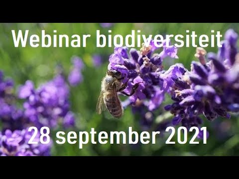 , title : 'Opname van NBV webinar Biodiversiteit (28-09-2021)'