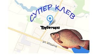 Клев рыбы в липецкой области