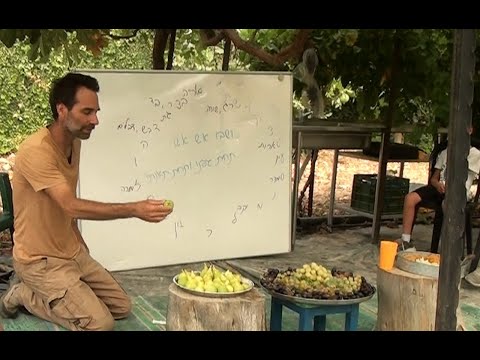 Asaf Bashan and Israel's Precious Fig Heritage