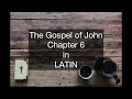 GOSPEL OF JOHN CHAPTER 6 LATIN VULGATE