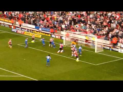 Blades 2-2 Orient - highlights