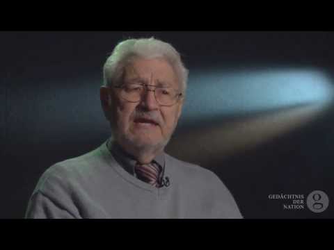 Hans Frey: Pogromnacht am 8. November 1938 in Bingen