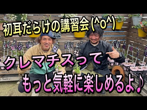 クレマチスが元気に育つように剪定します。どのような基準で剪定を行うべきですか?  庭園