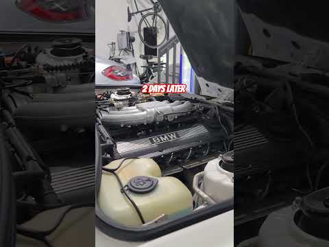 Trying out Liqui Molly Hydraulic lifer additive. How will it do in my E30 BMW? #liquimoly #car #bmw