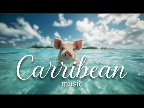 Caribbean Beach Music | Tropical Island Vibes for Home, Classroom, Office & Work