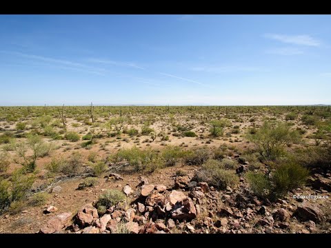 Pilda talanților – ce înseamnă a îngropa talantul în pământ?