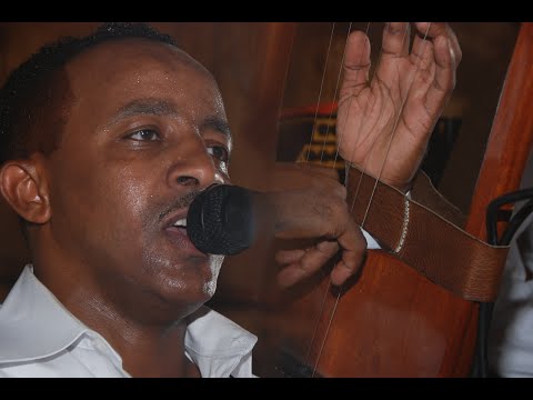 Dashim Mesgina - Shelewlew | New Eritrean Music (Official Audio)