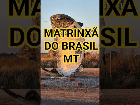 bauneario sao jose do rio claro, Rio arinos | festival de pesca matrinxxã | bauneario Rio arino mt