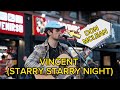 This Will Bring TEARS To Your EYES Don McLean Vincent Starry Starry Night