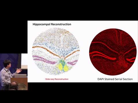 Revealing new cell types and states in the brain with scalable, single-cell genomics | Evan Macosko