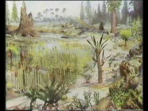 Kohlenstoff... auf der Strasse zum Leben 1-2