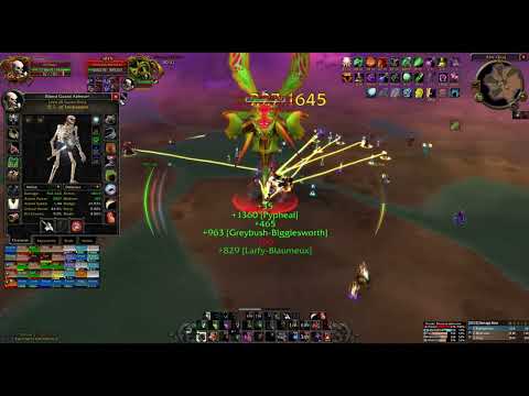 Feral Druid Tank Huhuran AQ40 PoV  [WoW Classic Era]