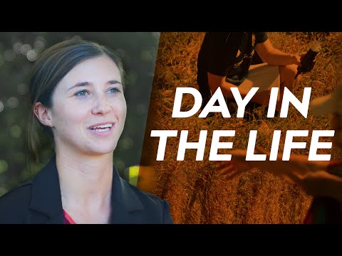 Biological Systems Engineering: A day in the life