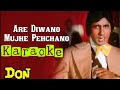Are Deewano Mujhe Pehchano Don Song Karaoke