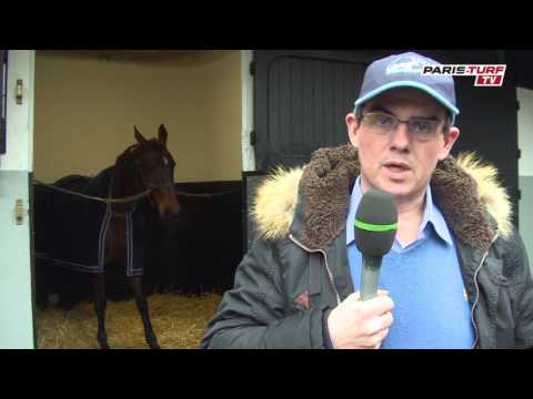 Paris-Turf TV - Bruno Bourgoin : Tropic du Hêtre