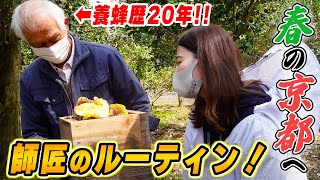 ニホンミツバチ養蜂歴20年の師匠と一緒に春の飼育群れ見回り！