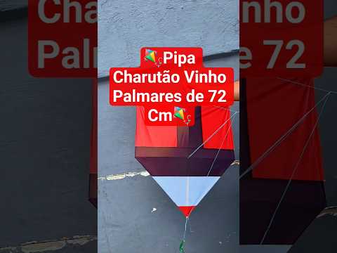 Pipa Charutão Vinho Palmares de 72 Cm #pipa #pipacombate #pipas #kite #youtubeshorts #shorts #viral