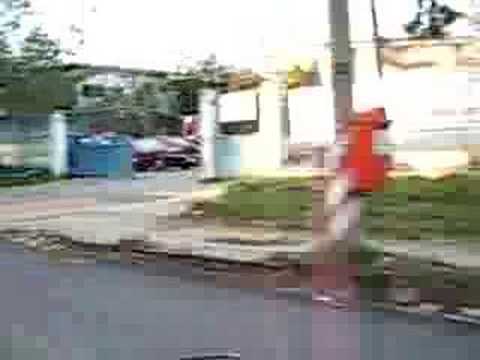 Cu Jon in masina - Gheorgheni