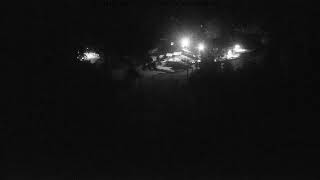 Idaho · Brundage Mountain Resort · Bear live stream